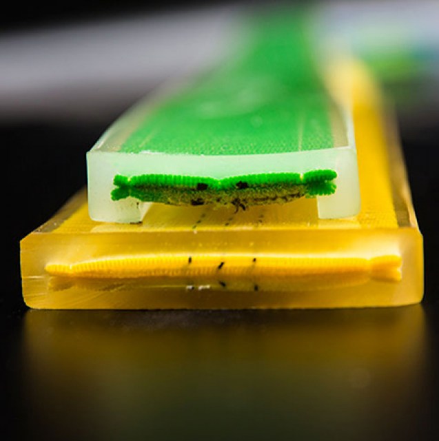 pu-coated-slings-image-revision-13